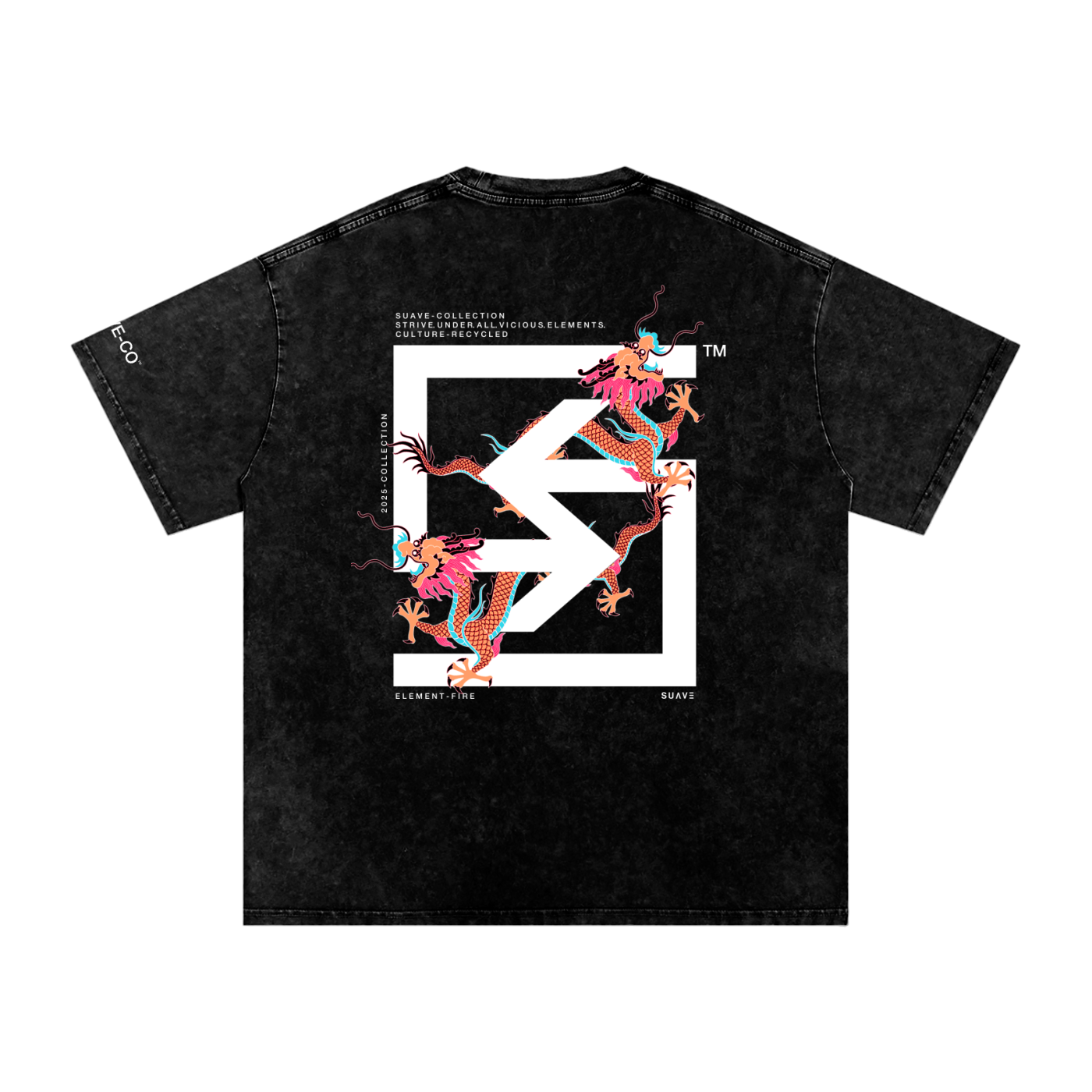 "TWIN-DRAGONS" Washed Oversized T-Shirt