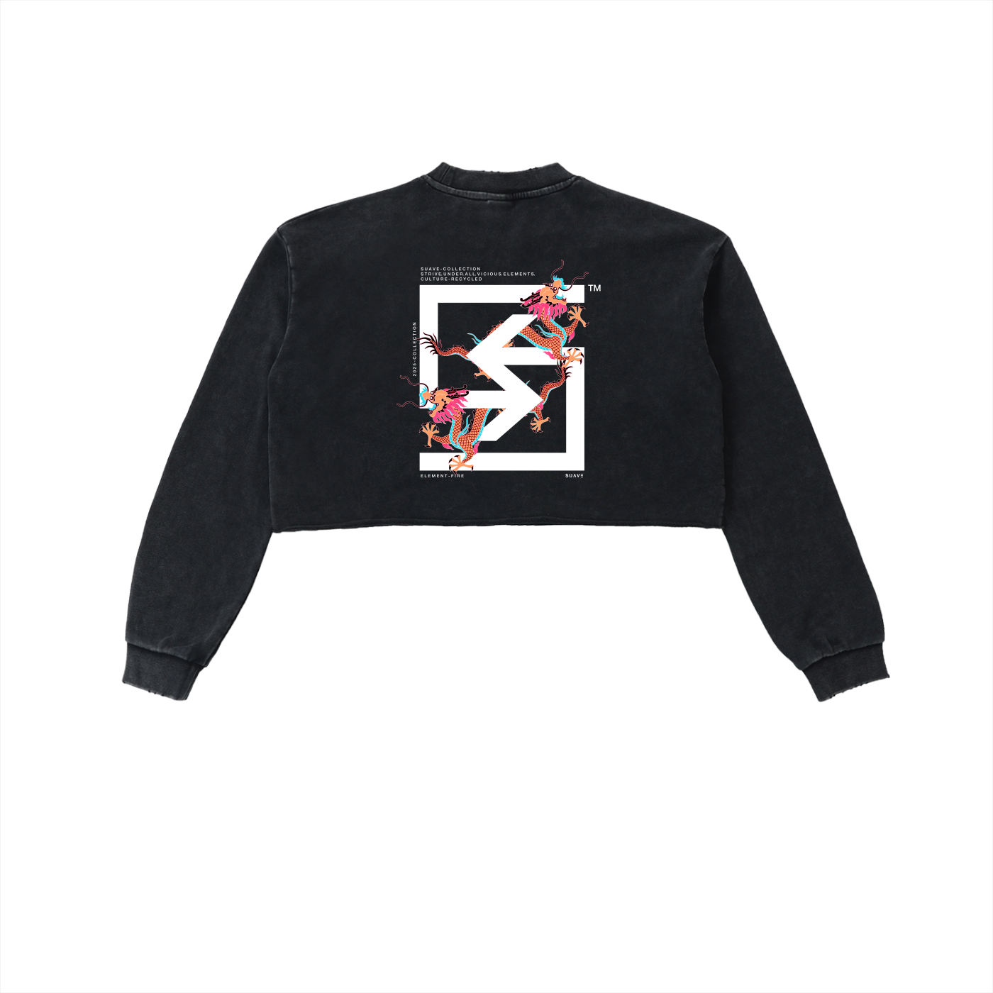 "TWIN-DRAGONS" Washed Cropped Sweatshirt